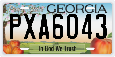 GA license plate PXA6043