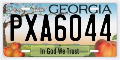 GA license plate PXA6044