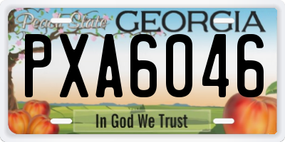 GA license plate PXA6046