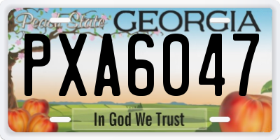 GA license plate PXA6047