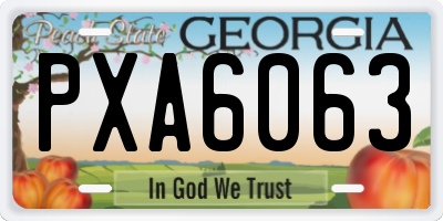 GA license plate PXA6063