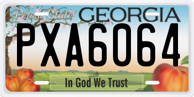 GA license plate PXA6064