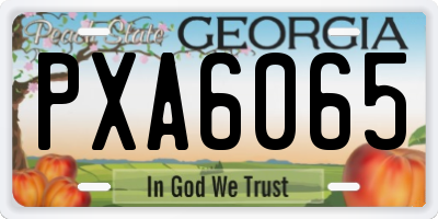 GA license plate PXA6065