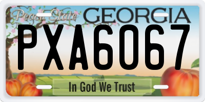 GA license plate PXA6067