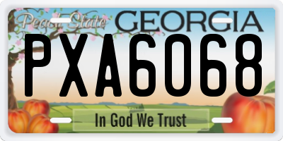 GA license plate PXA6068