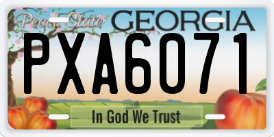 GA license plate PXA6071