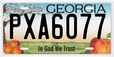 GA license plate PXA6077