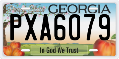 GA license plate PXA6079