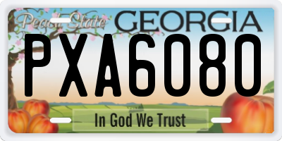 GA license plate PXA6080