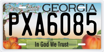 GA license plate PXA6085