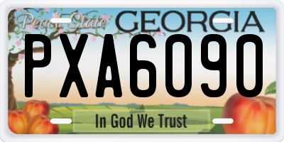 GA license plate PXA6090