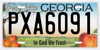 GA license plate PXA6091
