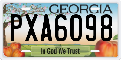 GA license plate PXA6098