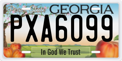 GA license plate PXA6099