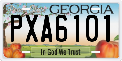 GA license plate PXA6101