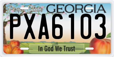 GA license plate PXA6103