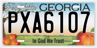 GA license plate PXA6107