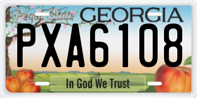 GA license plate PXA6108