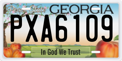 GA license plate PXA6109
