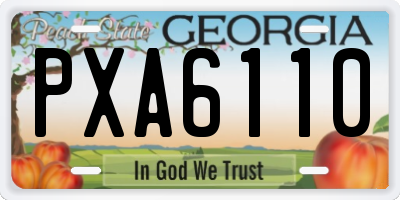 GA license plate PXA6110