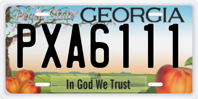 GA license plate PXA6111