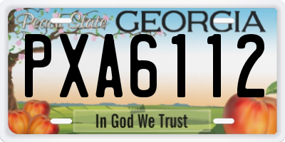 GA license plate PXA6112