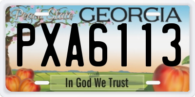 GA license plate PXA6113