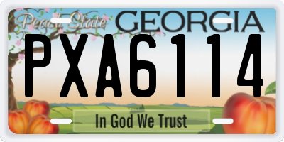 GA license plate PXA6114