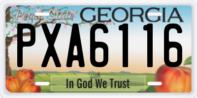 GA license plate PXA6116