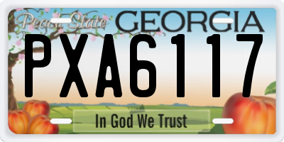 GA license plate PXA6117