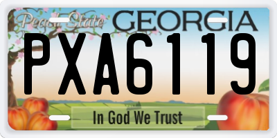 GA license plate PXA6119