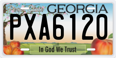 GA license plate PXA6120