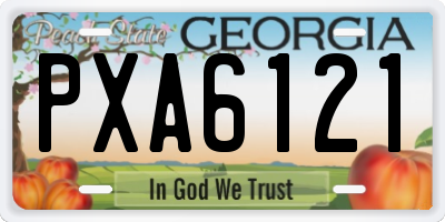 GA license plate PXA6121