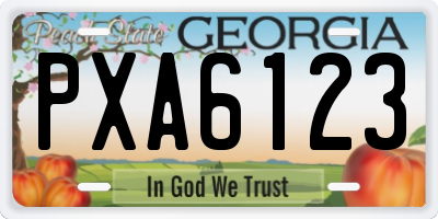 GA license plate PXA6123