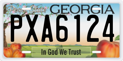 GA license plate PXA6124
