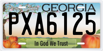 GA license plate PXA6125
