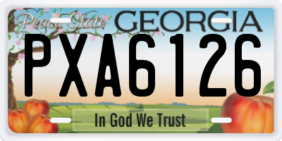 GA license plate PXA6126