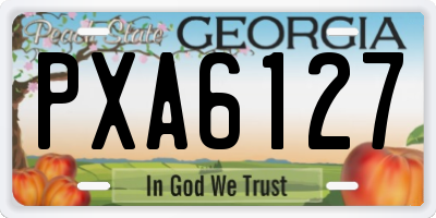 GA license plate PXA6127