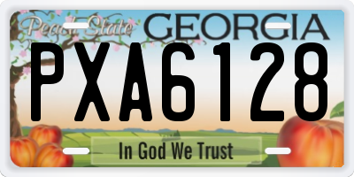 GA license plate PXA6128