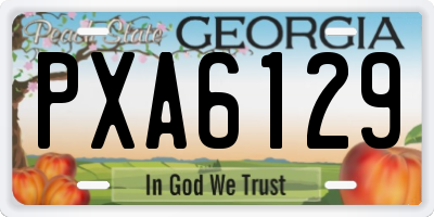 GA license plate PXA6129