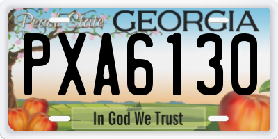 GA license plate PXA6130