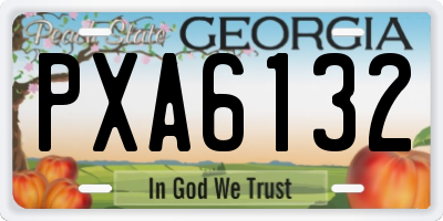 GA license plate PXA6132