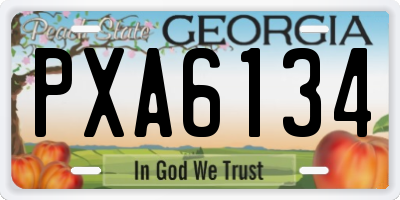 GA license plate PXA6134