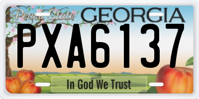 GA license plate PXA6137