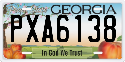 GA license plate PXA6138