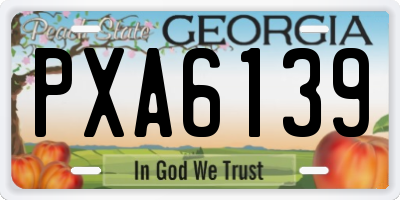 GA license plate PXA6139