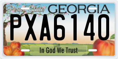 GA license plate PXA6140