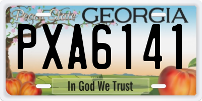 GA license plate PXA6141