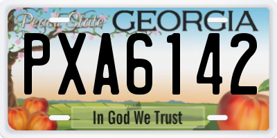 GA license plate PXA6142