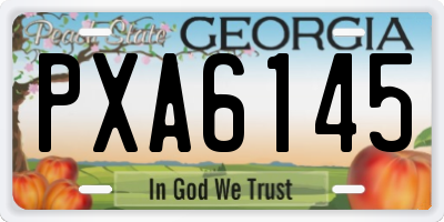 GA license plate PXA6145
